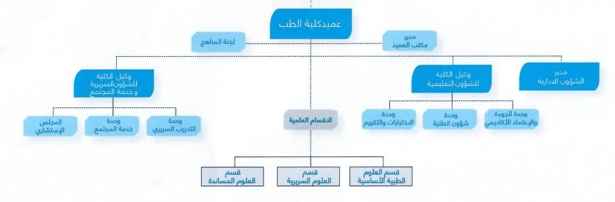 الهيكل التنظيمي