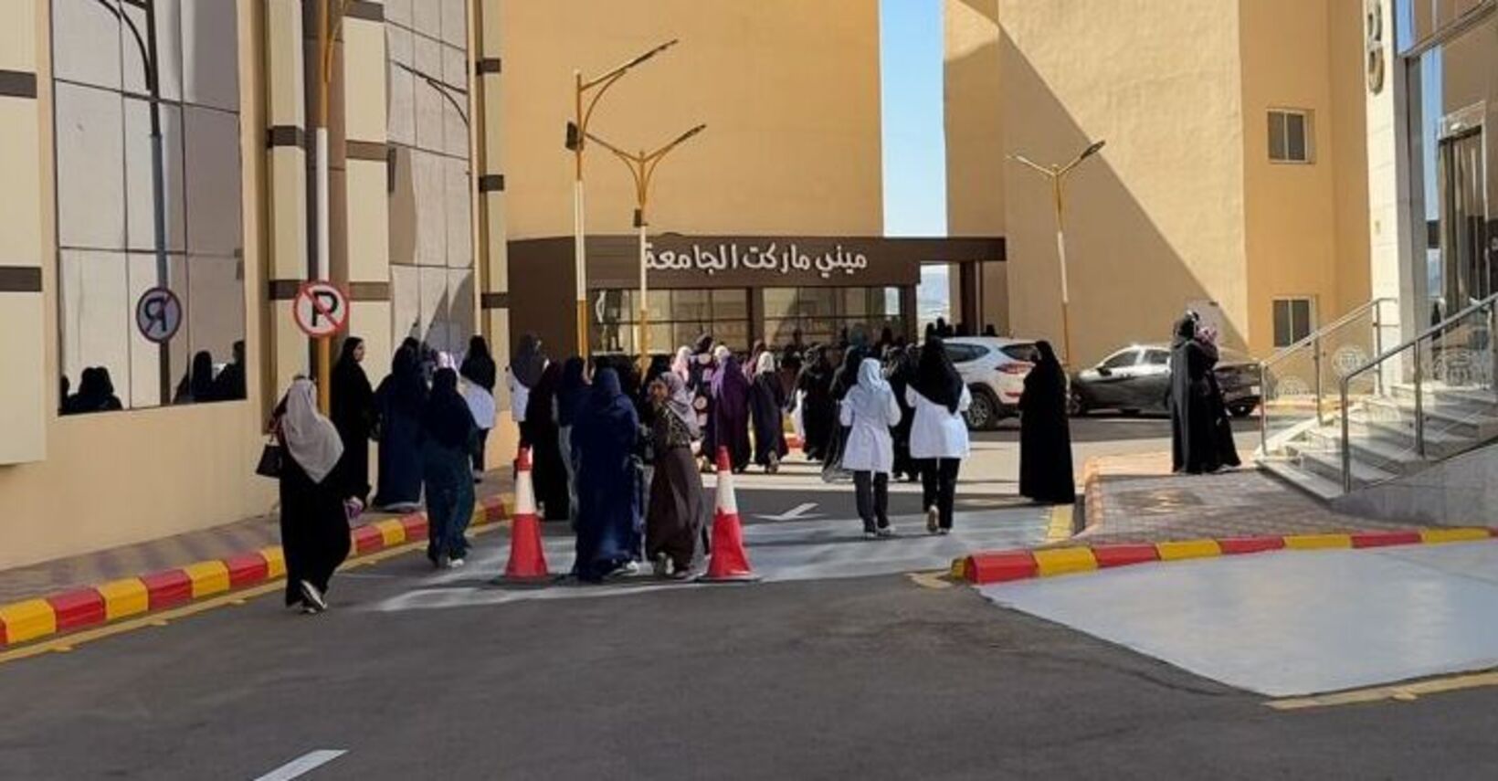 زيارة مدارس المنورة لكليات الريان الأهلية